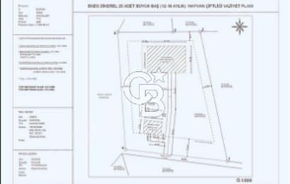 CB BLACK'TAN İZNİK AYDINLAR'DA ÇİFTLİK RUHSATLI DAĞ EVİ*