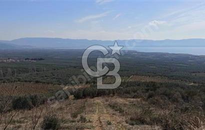 CB BLACK'TEN İZNİK ORHANİYE SATILIK EŞSİZ TARLA