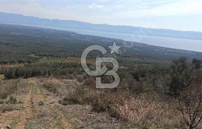 CB BLACK'TEN İZNİK ORHANİYE SATILIK EŞSİZ TARLA
