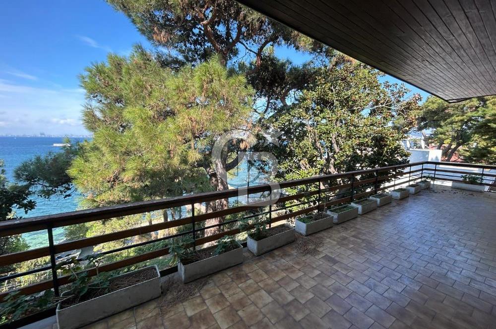 İSTANBUL BÜYÜKADA’DA ÖZEL İSKELELİ  2 DÖNÜM ARSA İÇİNDE DENİZE SIFIR YALI