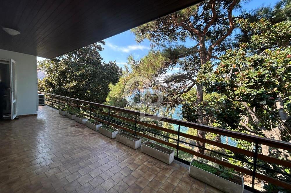 İSTANBUL BÜYÜKADA’DA ÖZEL İSKELELİ  2 DÖNÜM ARSA İÇİNDE DENİZE SIFIR YALI