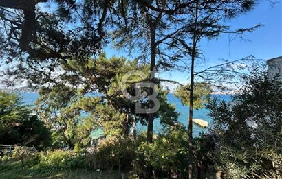 İSTANBUL BÜYÜKADA’DA ÖZEL İSKELELİ  2 DÖNÜM ARSA İÇİNDE DENİZE SIFIR YALI