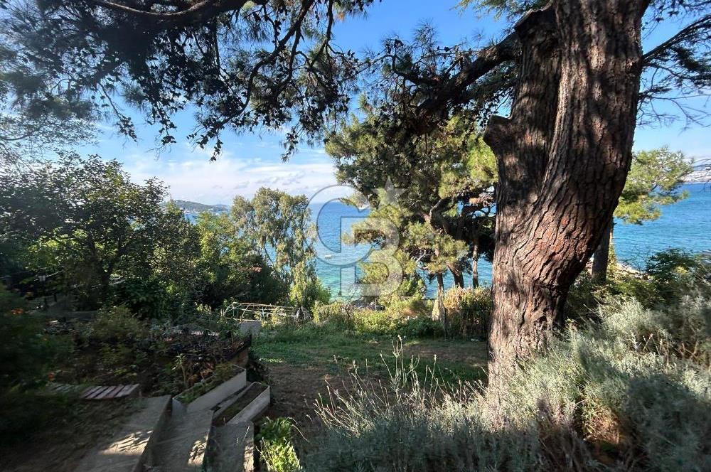İSTANBUL BÜYÜKADA’DA ÖZEL İSKELELİ  2 DÖNÜM ARSA İÇİNDE DENİZE SIFIR YALI