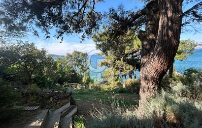 İSTANBUL BÜYÜKADA’DA ÖZEL İSKELELİ  2 DÖNÜM ARSA İÇİNDE DENİZE SIFIR YALI