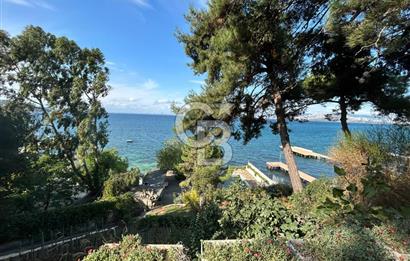 İSTANBUL BÜYÜKADA’DA ÖZEL İSKELELİ  2 DÖNÜM ARSA İÇİNDE DENİZE SIFIR YALI