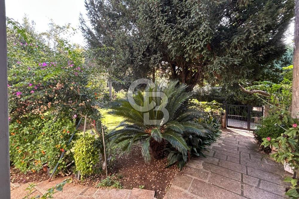 İSTANBUL BÜYÜKADA’DA ÖZEL İSKELELİ  2 DÖNÜM ARSA İÇİNDE DENİZE SIFIR YALI