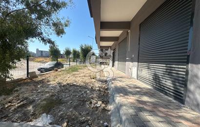 SEYREK MERKEZ'DE 1+1 KİRALIK DAİRE