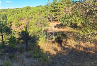 ÇANAKKALE AYVACIK DEMİRCİ KÖYÜ SATILIK 1635M2 KÖY İÇİ İMARLI