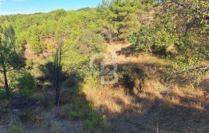 ÇANAKKALE AYVACIK DEMİRCİ KÖYÜ SATILIK 1635M2 KÖY İÇİ İMARLI