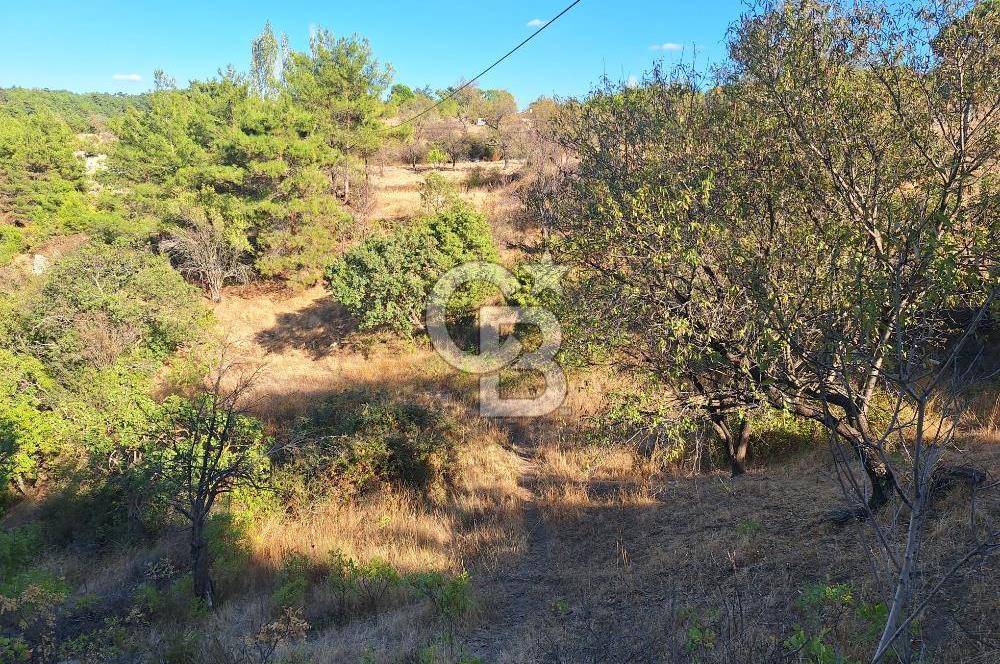 ÇANAKKALE AYVACIK DEMİRCİ KÖYÜ SATILIK 1635M2 KÖY İÇİ İMARLI
