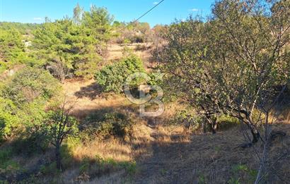 ÇANAKKALE AYVACIK DEMİRCİ KÖYÜ SATILIK 1635M2 KÖY İÇİ İMARLI