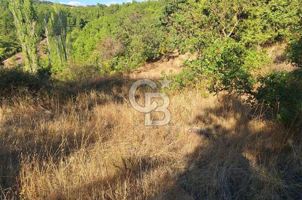 ÇANAKKALE AYVACIK DEMİRCİ KÖYÜ SATILIK 1635M2 KÖY İÇİ İMARLI