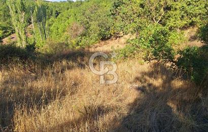 ÇANAKKALE AYVACIK DEMİRCİ KÖYÜ SATILIK 1635M2 KÖY İÇİ İMARLI
