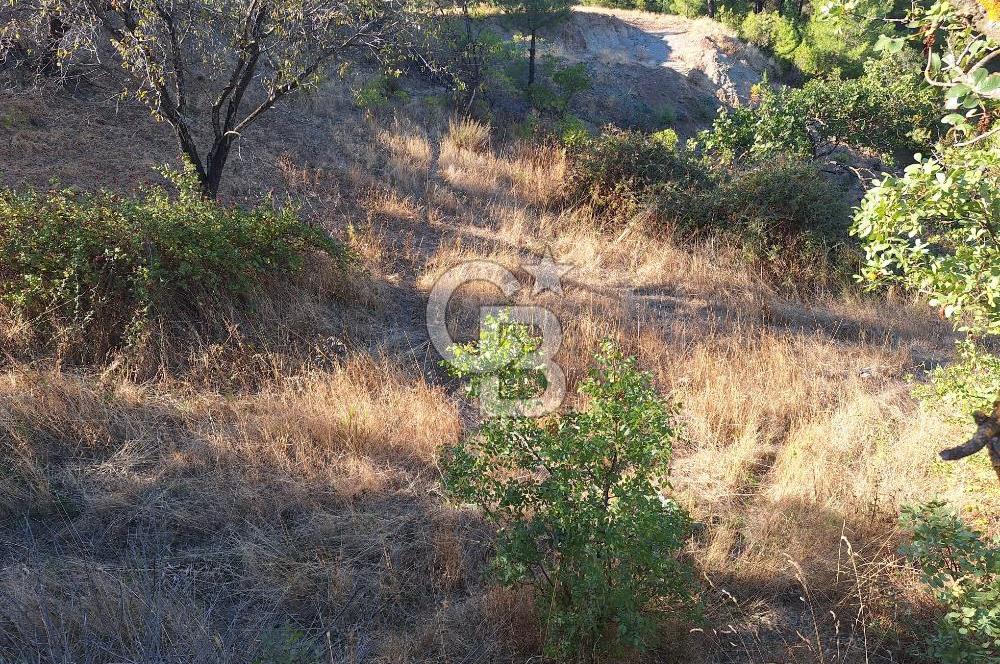 ÇANAKKALE AYVACIK DEMİRCİ KÖYÜ SATILIK 1635M2 KÖY İÇİ İMARLI