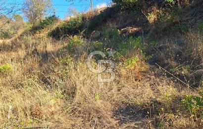 ÇANAKKALE AYVACIK DEMİRCİ KÖYÜ SATILIK 1635M2 KÖY İÇİ İMARLI