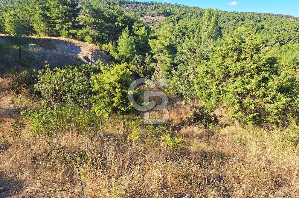 ÇANAKKALE AYVACIK DEMİRCİ KÖYÜ SATILIK 1635M2 KÖY İÇİ İMARLI