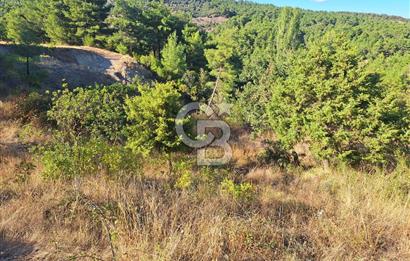 ÇANAKKALE AYVACIK DEMİRCİ KÖYÜ SATILIK 1635M2 KÖY İÇİ İMARLI