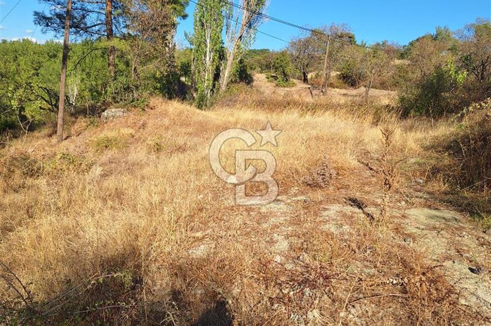 ÇANAKKALE AYVACIK DEMİRCİ KÖYÜ SATILIK 1635M2 KÖY İÇİ İMARLI