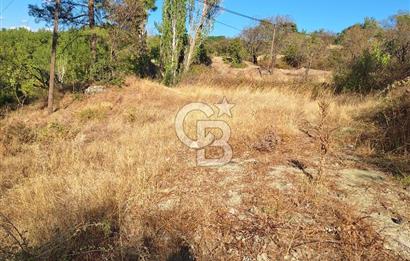 ÇANAKKALE AYVACIK DEMİRCİ KÖYÜ SATILIK 1635M2 KÖY İÇİ İMARLI