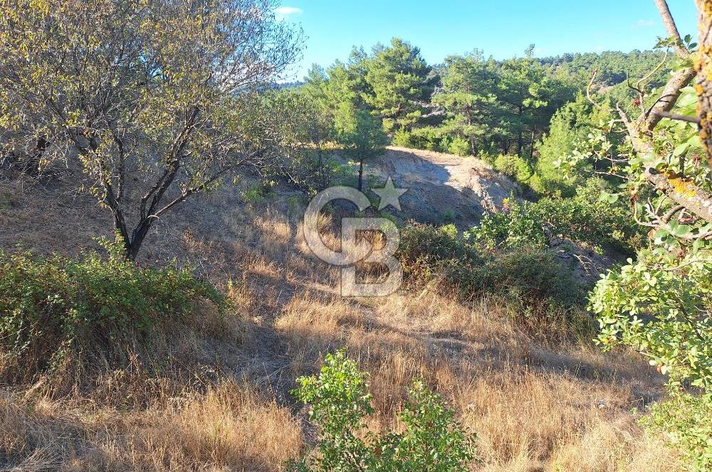 ÇANAKKALE AYVACIK DEMİRCİ KÖYÜ SATILIK 1635M2 KÖY İÇİ İMARLI