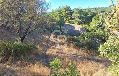 ÇANAKKALE AYVACIK DEMİRCİ KÖYÜ SATILIK 1635M2 KÖY İÇİ İMARLI