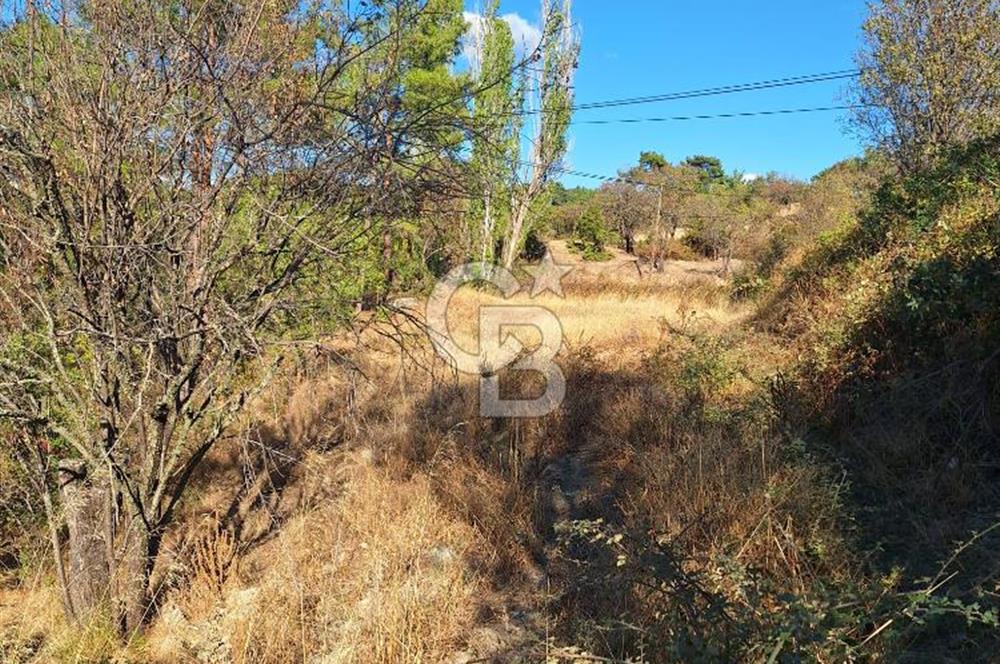 ÇANAKKALE AYVACIK DEMİRCİ KÖYÜ SATILIK 1635M2 KÖY İÇİ İMARLI