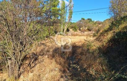 ÇANAKKALE AYVACIK DEMİRCİ KÖYÜ SATILIK 1635M2 KÖY İÇİ İMARLI