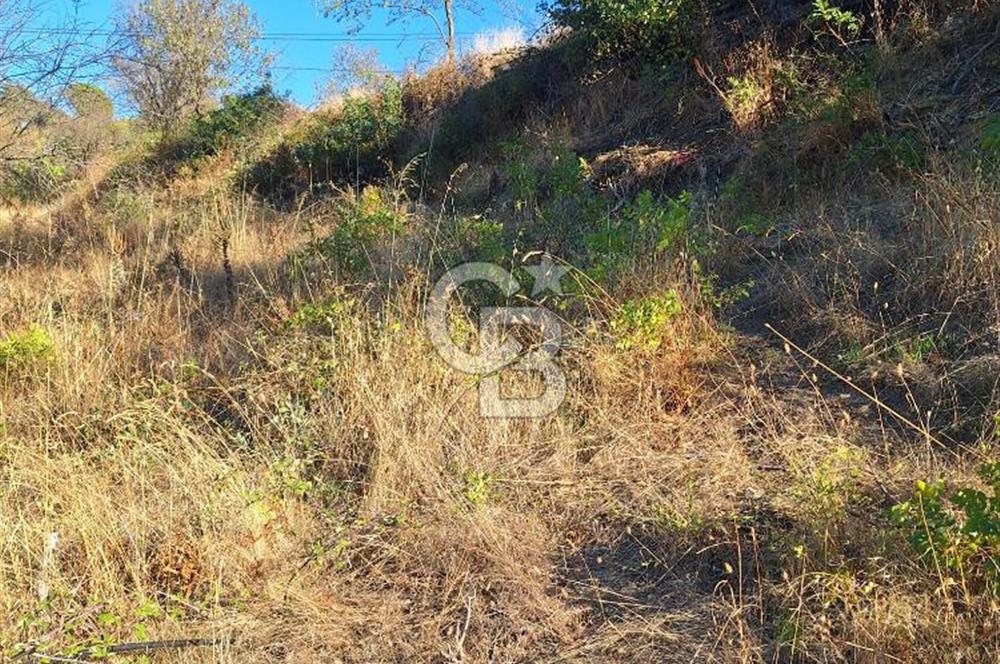 ÇANAKKALE AYVACIK DEMİRCİ KÖYÜ SATILIK 1635M2 KÖY İÇİ İMARLI