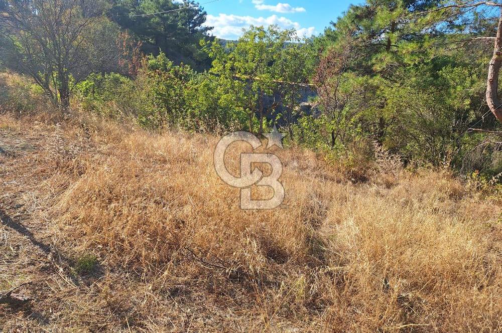 ÇANAKKALE AYVACIK DEMİRCİ KÖYÜ SATILIK 1635M2 KÖY İÇİ İMARLI