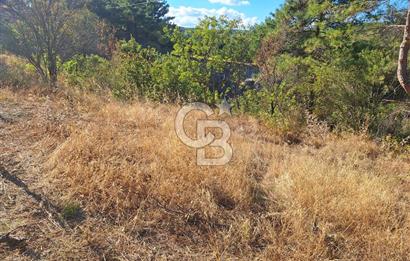 ÇANAKKALE AYVACIK DEMİRCİ KÖYÜ SATILIK 1635M2 KÖY İÇİ İMARLI