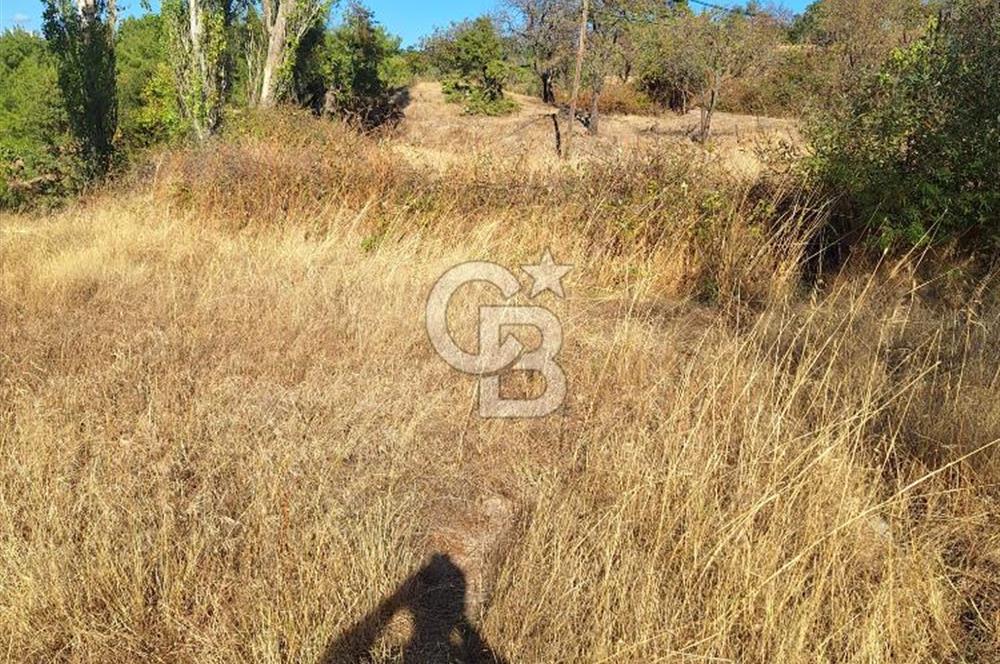 ÇANAKKALE AYVACIK DEMİRCİ KÖYÜ SATILIK 1635M2 KÖY İÇİ İMARLI