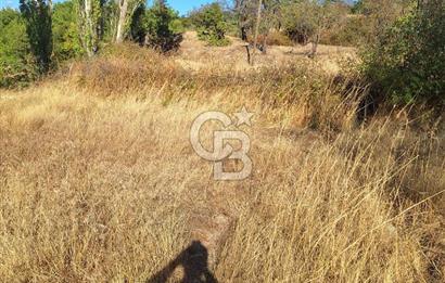 ÇANAKKALE AYVACIK DEMİRCİ KÖYÜ SATILIK 1635M2 KÖY İÇİ İMARLI