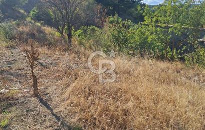 ÇANAKKALE AYVACIK DEMİRCİ KÖYÜ SATILIK 1635M2 KÖY İÇİ İMARLI