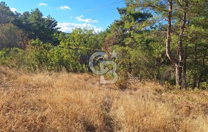 ÇANAKKALE AYVACIK DEMİRCİ KÖYÜ SATILIK 1635M2 KÖY İÇİ İMARLI