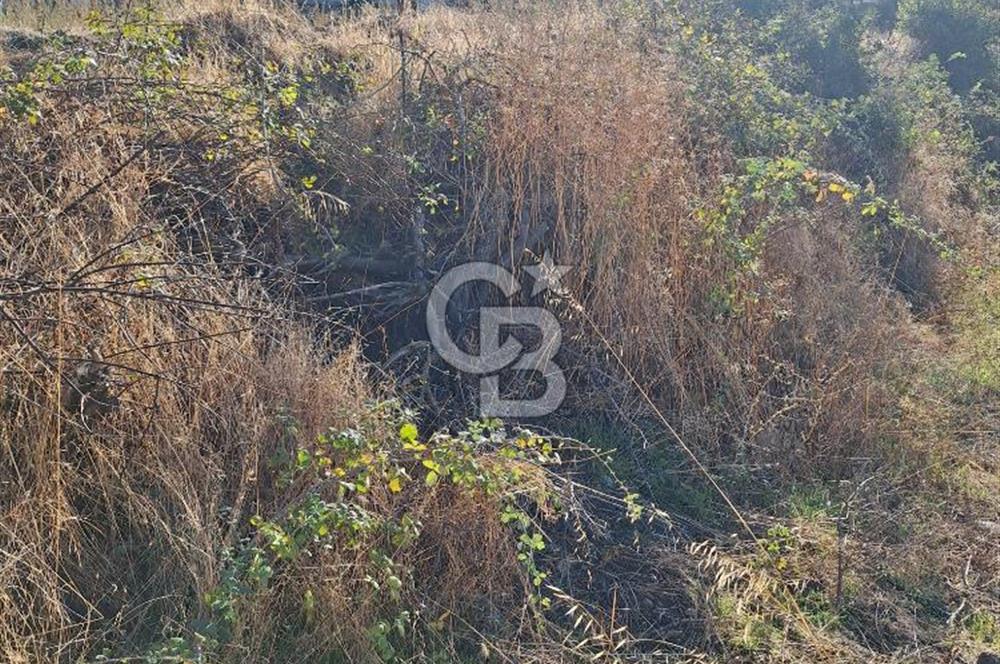 ÇANAKKALE AYVACIK DEMİRCİ KÖYÜ SATILIK 1635M2 KÖY İÇİ İMARLI