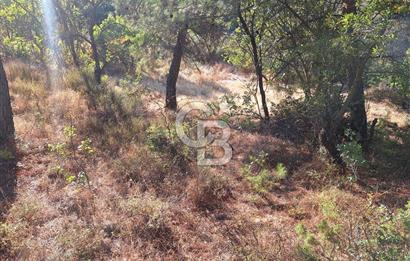 ÇANAKKALE AYVACIK DEMİRCİ KÖYÜ SATILIK 1635M2 KÖY İÇİ İMARLI