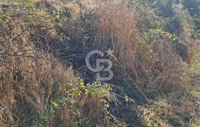 ÇANAKKALE AYVACIK DEMİRCİ KÖYÜ SATILIK 1635M2 KÖY İÇİ İMARLI