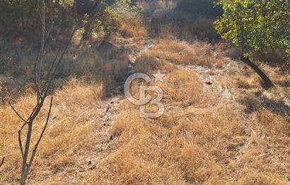 ÇANAKKALE AYVACIK DEMİRCİ KÖYÜ SATILIK 1635M2 KÖY İÇİ İMARLI