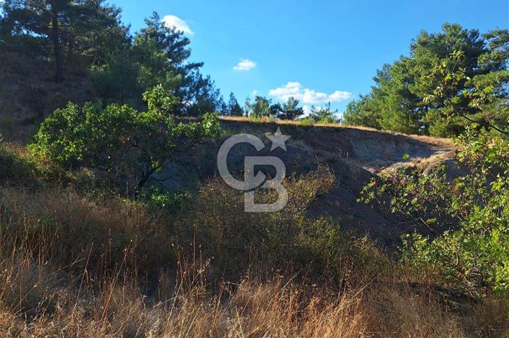 ÇANAKKALE AYVACIK DEMİRCİ KÖYÜ SATILIK 1635M2 KÖY İÇİ İMARLI
