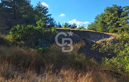 ÇANAKKALE AYVACIK DEMİRCİ KÖYÜ SATILIK 1635M2 KÖY İÇİ İMARLI