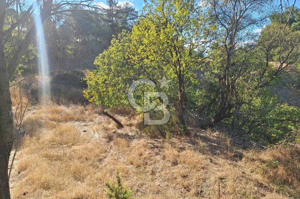 ÇANAKKALE AYVACIK DEMİRCİ KÖYÜ SATILIK 1635M2 KÖY İÇİ İMARLI