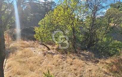 ÇANAKKALE AYVACIK DEMİRCİ KÖYÜ SATILIK 1635M2 KÖY İÇİ İMARLI