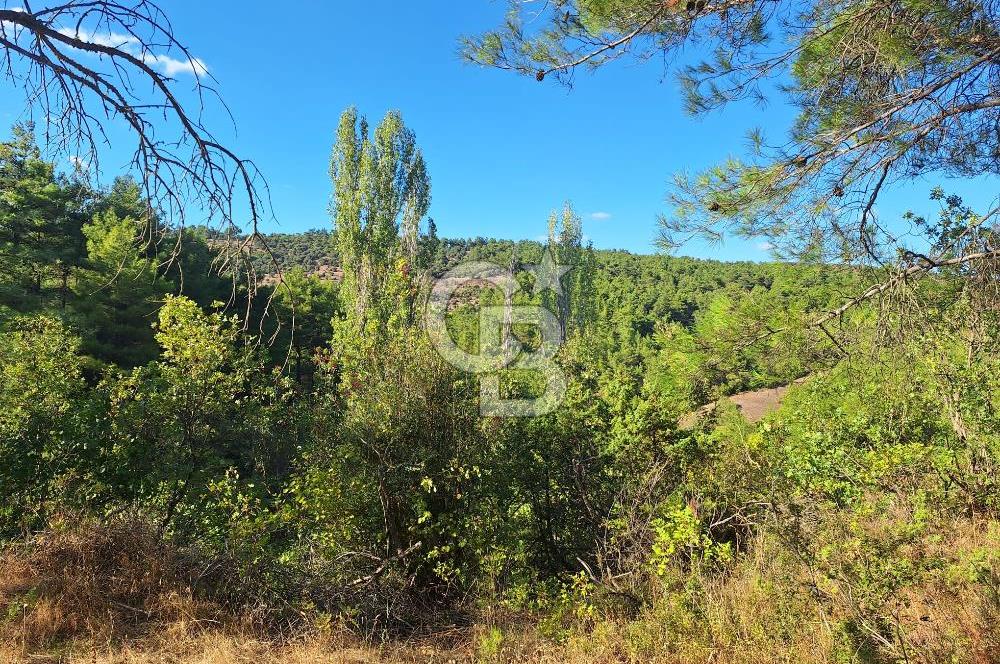 ÇANAKKALE AYVACIK DEMİRCİ KÖYÜ SATILIK 1635M2 KÖY İÇİ İMARLI