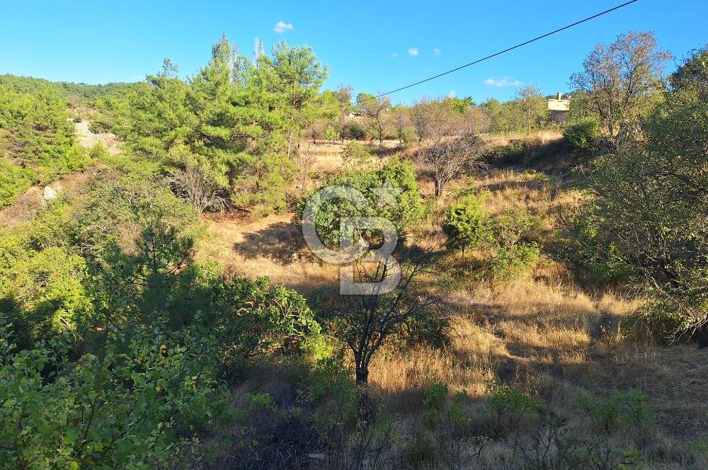ÇANAKKALE AYVACIK DEMİRCİ KÖYÜ SATILIK 1635M2 KÖY İÇİ İMARLI