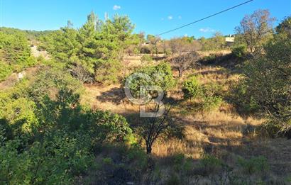 ÇANAKKALE AYVACIK DEMİRCİ KÖYÜ SATILIK 1635M2 KÖY İÇİ İMARLI