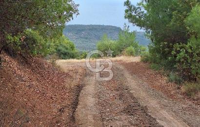 ÇANAKKALE AYVACIK DEMİRCİ KÖYÜ SATILIK 5819M2 TARLA