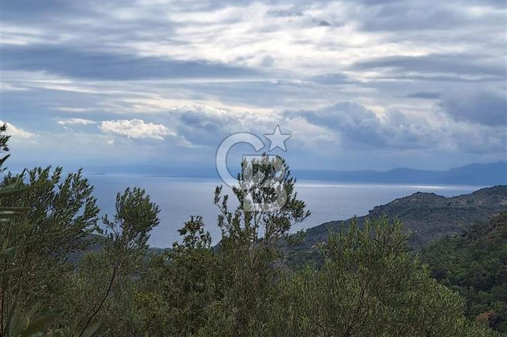 ÇANAKKALE AYVACIK DEMİRCİ KÖYÜ SATILIK 5819M2 TARLA