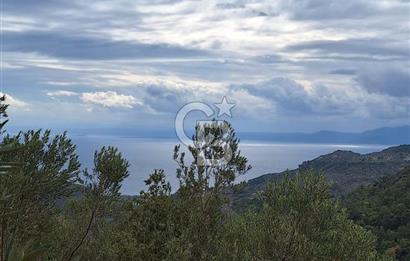 ÇANAKKALE AYVACIK DEMİRCİ KÖYÜ SATILIK 5819M2 TARLA