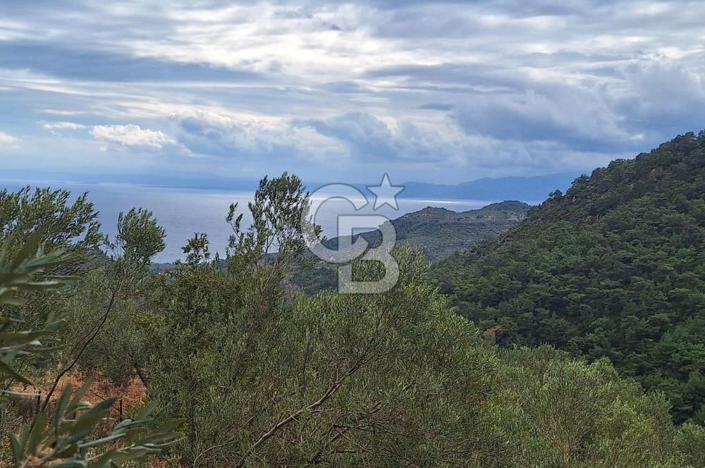 ÇANAKKALE AYVACIK DEMİRCİ KÖYÜ SATILIK 5819M2 TARLA