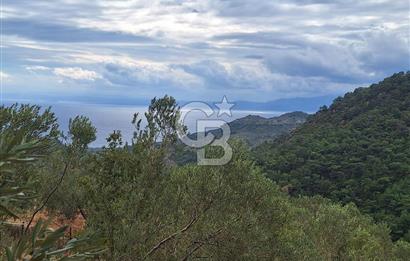 ÇANAKKALE AYVACIK DEMİRCİ KÖYÜ SATILIK 5819M2 TARLA